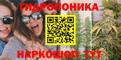 PSILOCYBIN Пенза
